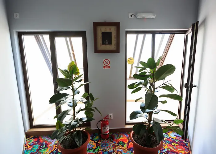 Corner Center Rental